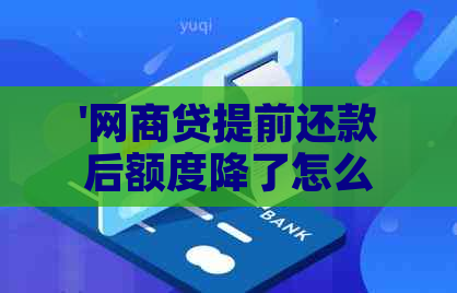 '网商贷提前还款后额度降了怎么办？如何恢复？'