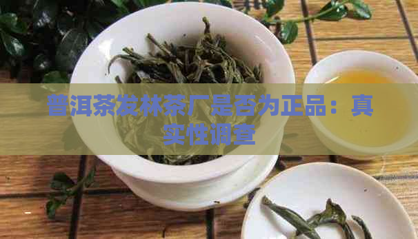 普洱茶发林茶厂是否为正品：真实性调查