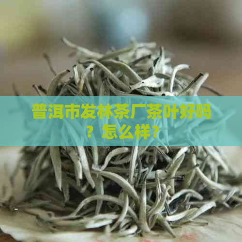 普洱市发林茶厂茶叶好吗？怎么样？