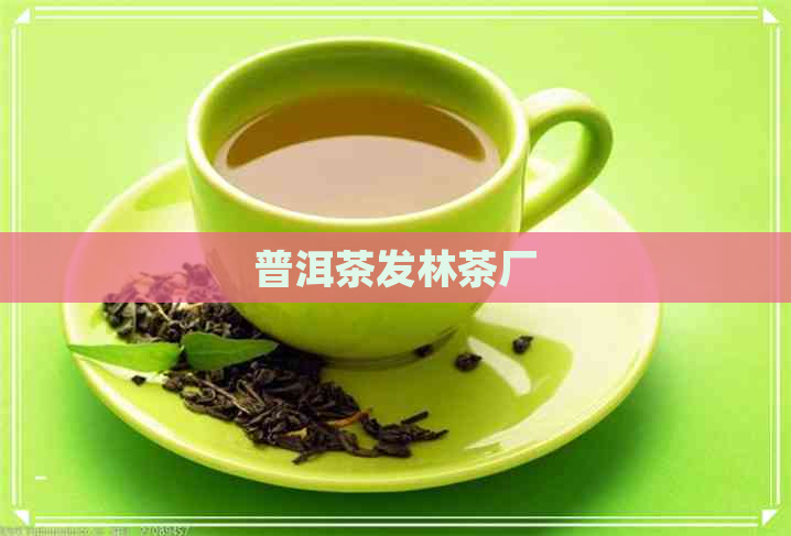 普洱茶发林茶厂