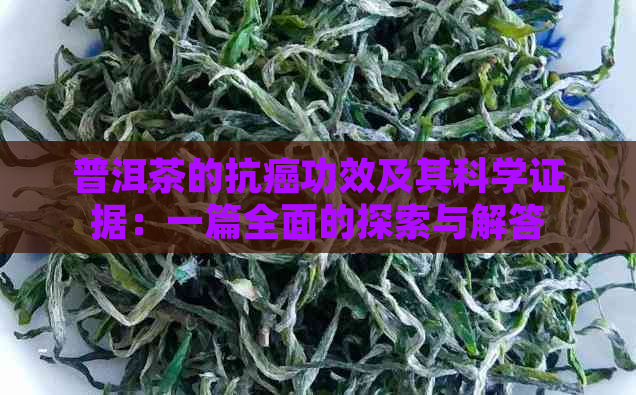 普洱茶的抗癌功效及其科学证据：一篇全面的探索与解答