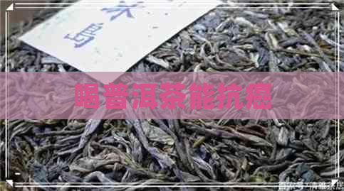 喝普洱茶能抗癌