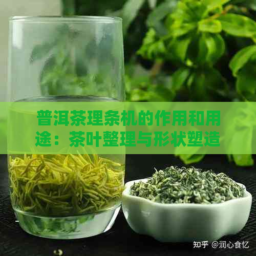 普洱茶理条机的作用和用途：茶叶整理与形状塑造。