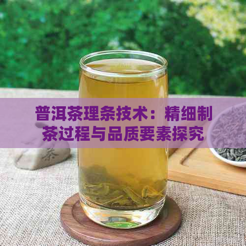 普洱茶理条技术：精细制茶过程与品质要素探究