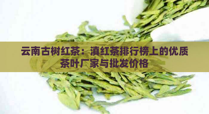 云南古树红茶：滇红茶排行榜上的优质茶叶厂家与批发价格