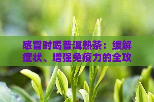 感冒时喝普洱熟茶：缓解症状、增强免疫力的全攻略