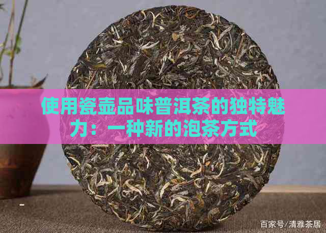 使用瓷壶品味普洱茶的独特魅力：一种新的泡茶方式