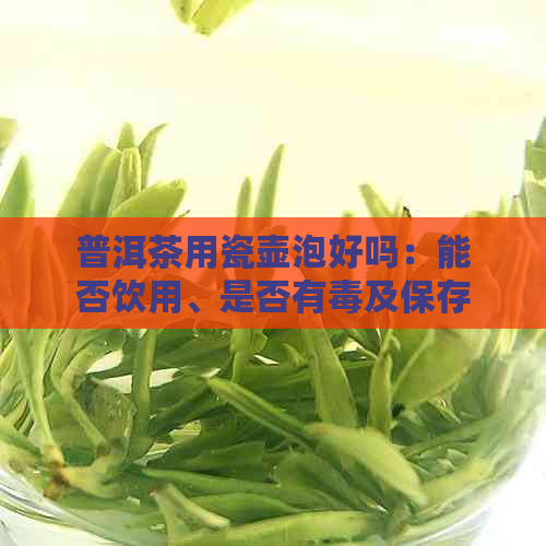 普洱茶用瓷壶泡好吗：能否饮用、是否有及保存时间