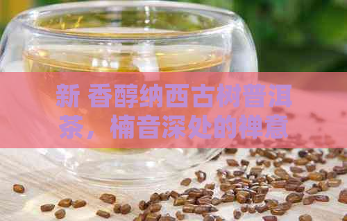 新 香醇纳西古树普洱茶，楠音深处的禅意人生