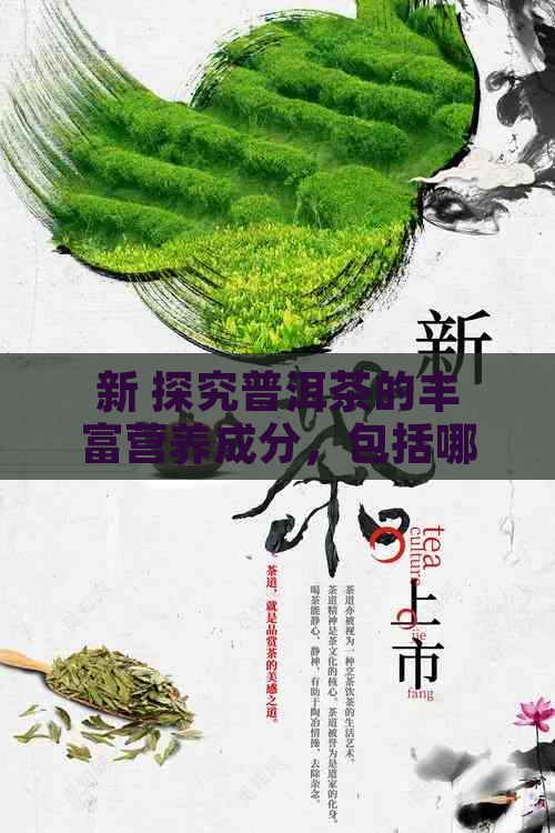 新 探究普洱茶的丰富营养成分，包括哪些元素？