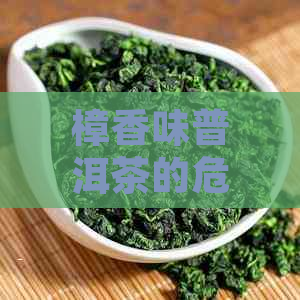 樟香味普洱茶的危害与影响：真正的好茶还是隐藏的危机？