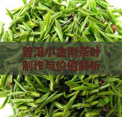 普洱小金刚茶叶制作与价值解析：价格，意义，制作方法和菩萨茶对比