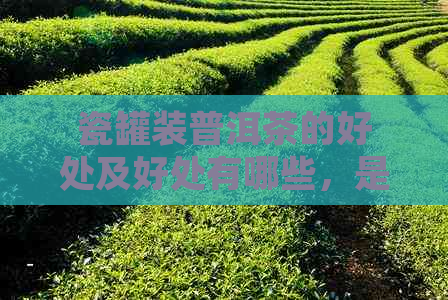 瓷罐装普洱茶的好处及好处有哪些，是否适合存放普洱茶？