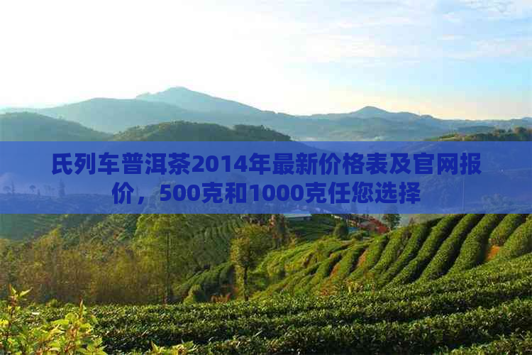 氏列车普洱茶2014年最新价格表及官网报价，500克和1000克任您选择