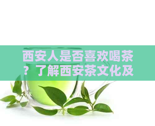 西安人是否喜欢喝茶？了解西安茶文化及茶叶种类