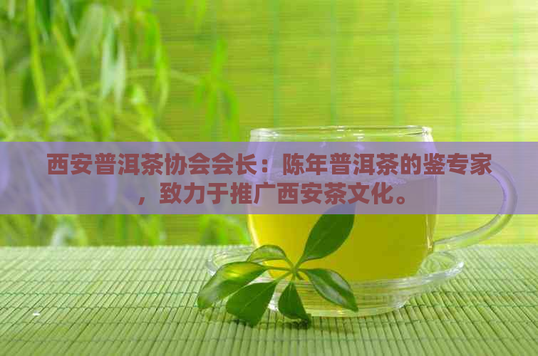 西安普洱茶协会会长：陈年普洱茶的鉴专家，致力于推广西安茶文化。