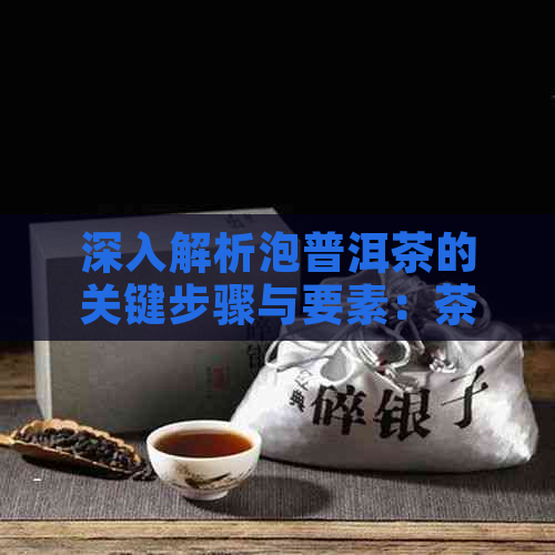 深入解析泡普洱茶的关键步骤与要素：茶具选择、水控制、冲泡时间等