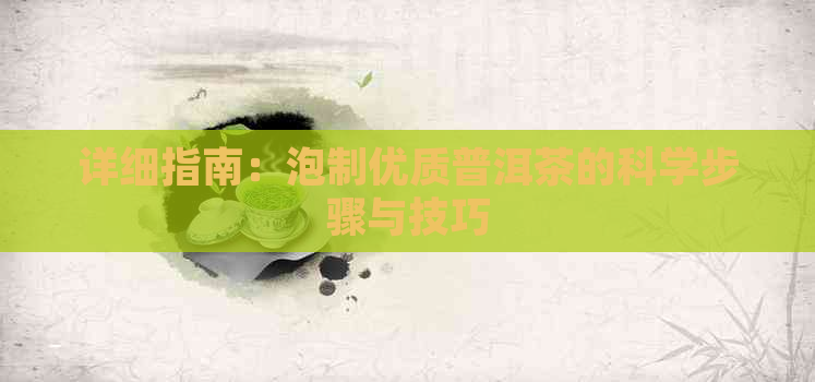 详细指南：泡制优质普洱茶的科学步骤与技巧