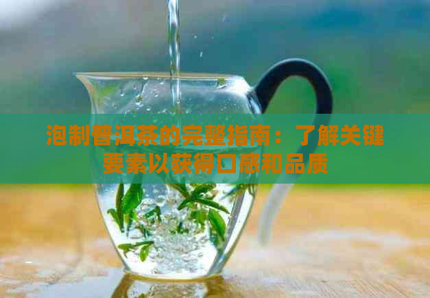 泡制普洱茶的完整指南：了解关键要素以获得口感和品质