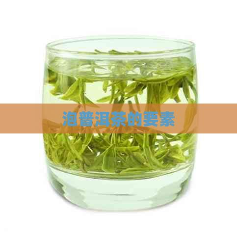 泡普洱茶的要素