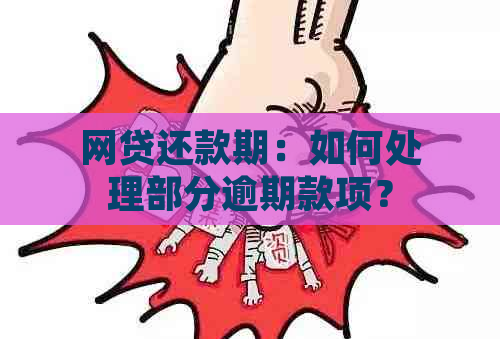 网贷还款期：如何处理部分逾期款项？