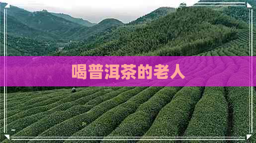 喝普洱茶的老人