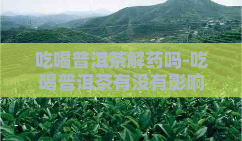 吃喝普洱茶解药吗-吃喝普洱茶有没有影响