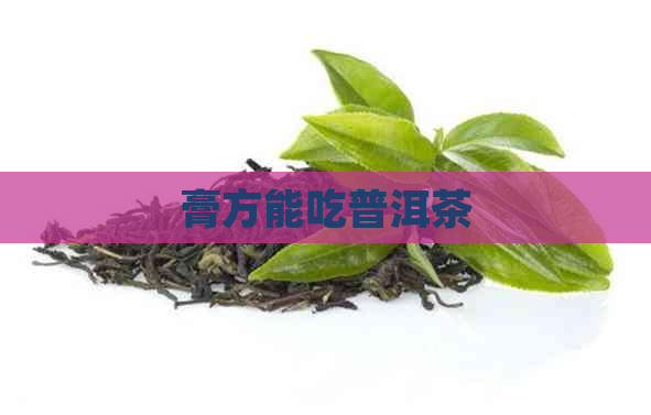 膏方能吃普洱茶