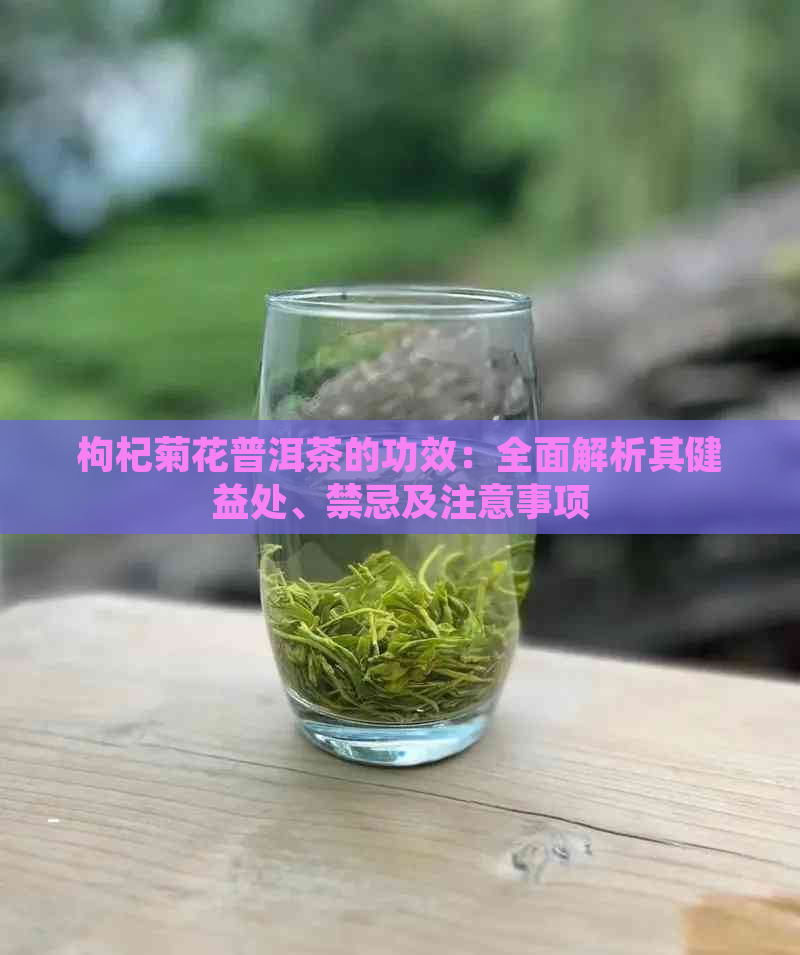 枸杞菊花普洱茶的功效：全面解析其健益处、禁忌及注意事项