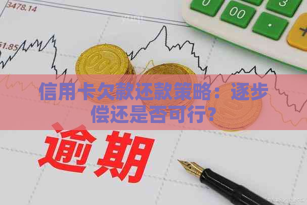 信用卡欠款还款策略：逐步偿还是否可行？