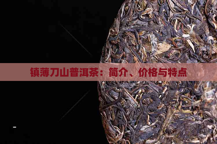 镇薄刀山普洱茶：简介、价格与特点