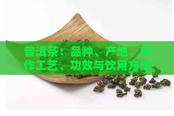 普洱茶：品种、产地、制作工艺、功效与饮用方法全方位解析