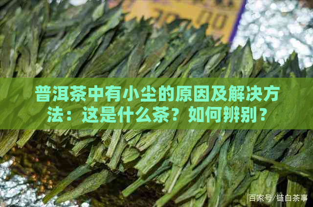 普洱茶中有小尘的原因及解决方法：这是什么茶？如何辨别？