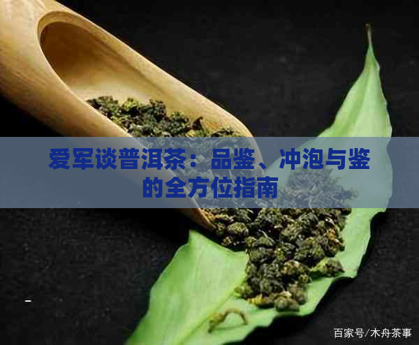 爱军谈普洱茶：品鉴、冲泡与鉴的全方位指南