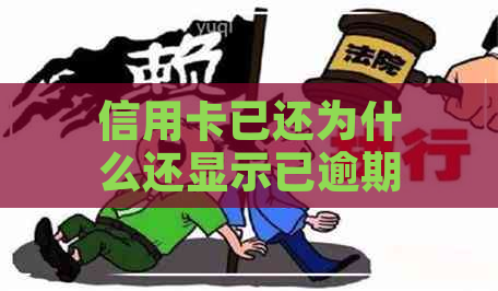 信用卡已还为什么还显示已逾期