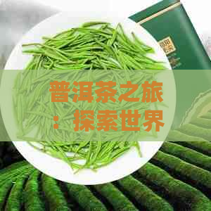 普洱茶之旅：探索世界茶文化之都，品味独特风味与养生功效