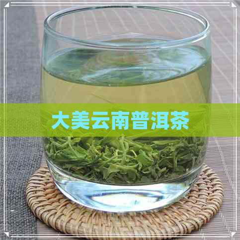 大美云南普洱茶