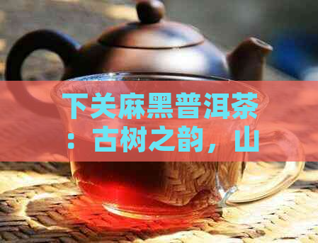 下关麻黑普洱茶：古树之韵，山野之气，滋味醇厚，回味悠长