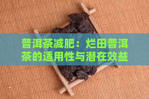 普洱茶减肥：烂田普洱茶的适用性与潜在效益分析