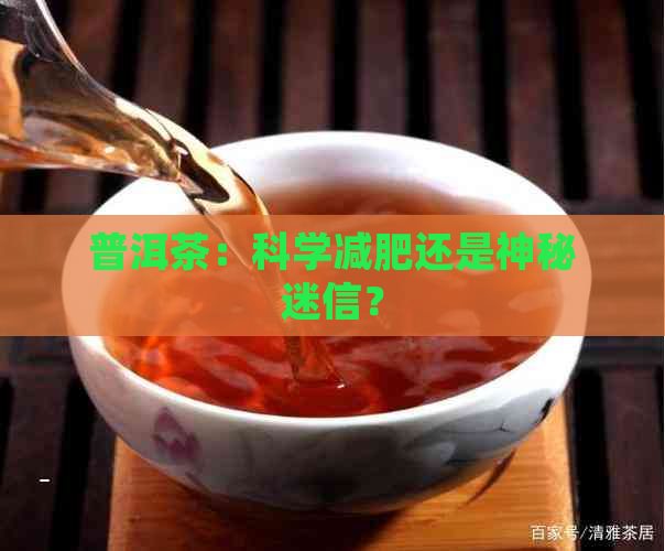 普洱茶：科学减肥还是神秘迷信？