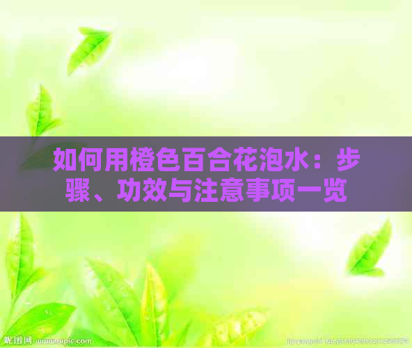 如何用橙色百合花泡水：步骤、功效与注意事项一览