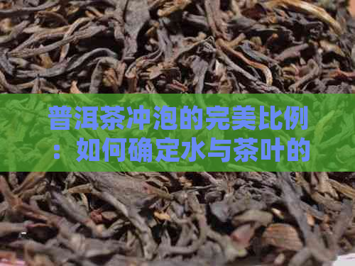 普洱茶冲泡的完美比例：如何确定水与茶叶的配比？