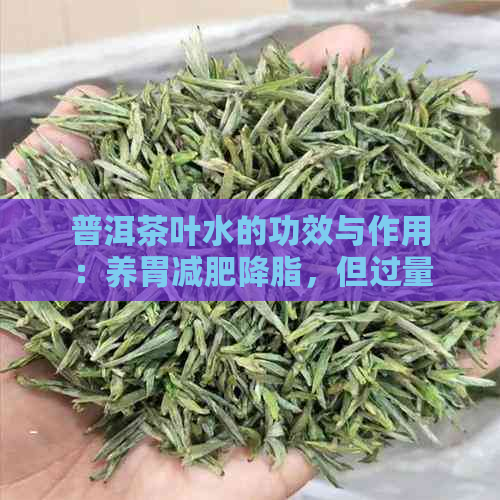 普洱茶叶水的功效与作用：养胃减肥降脂，但过量饮用可能导致消化不良。