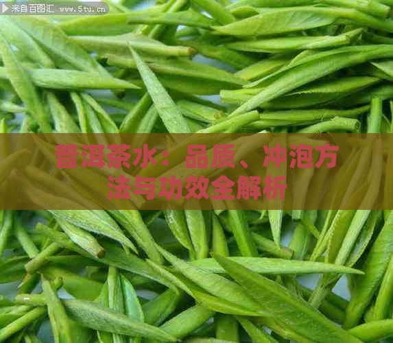 普洱茶水：品质、冲泡方法与功效全解析