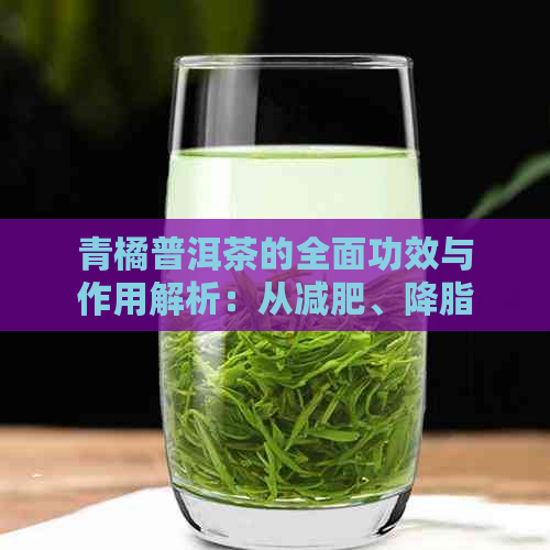 青橘普洱茶的全面功效与作用解析：从减肥、降脂到提神醒脑，一文告诉你！