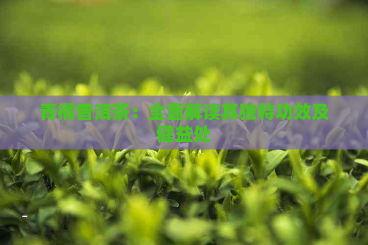 青橘普洱茶：全面解读其独特功效及健益处