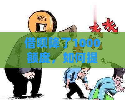 借呗降了1000额度，如何提升？借呗额度降到1000后，借款能快速提升额度吗？