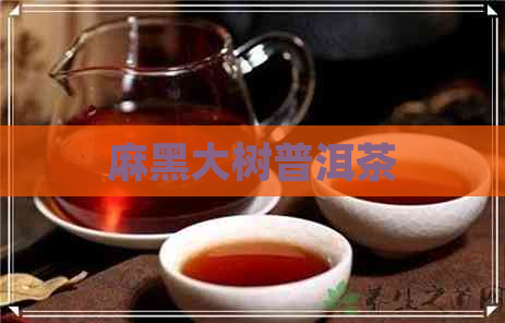 麻黑大树普洱茶