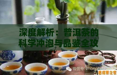 深度解析：普洱茶的科学冲泡与品鉴全攻略