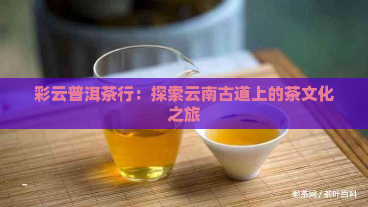 彩云普洱茶行：探索云南古道上的茶文化之旅